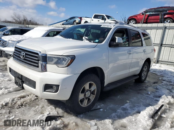 2018 Toyota Sequoia SR5 with VIN 5TDBY5G10JS159791, listed as a Copart auction lot 45378575 with 229,941 mi miles and Clean Title. Bid and sale history available at carsss.com. Image 1.