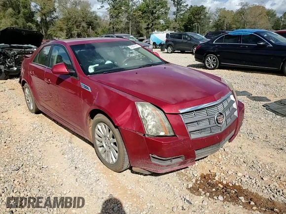 2010 Cadillac CTS Luxury with VIN 1G6DE5EG6A0130701, listed as a Copart auction lot 49847435 with Not Provided miles and Salvage Title. Bid and sale history available at carsss.com. Image 11.