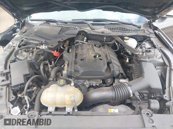 2017 Ford Mustang EcoBoost Premium with VIN 1FATP8UH5H5293003, listed as a IAAI auction lot 42047402 with 108,049 mi miles and . Bid and sale history available at DreamBid. Image 10.
