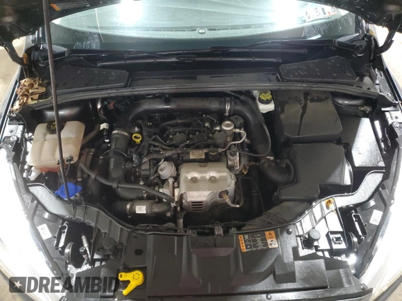 2017 Ford Focus SE with VIN 1FADP3FE9HL281457, listed as a Copart auction lot 53134295 with 48,633 mi miles and Salvage Title. Bid and sale history available at carsss.com. Image 11.