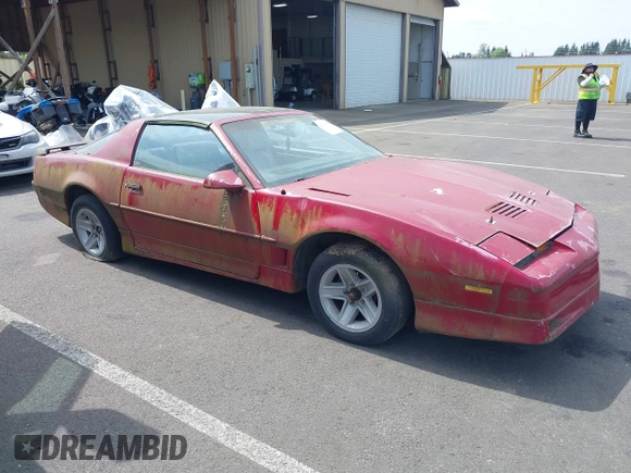 1988 Pontiac Firebird Trans Am с VIN 1G2FW21E0JL216496, выставлен на аукционе IAAI как лот 42131654 с пробегом 231 941 миль миль и . История ставок и продаж доступна на DreamBid. Изображение 1.