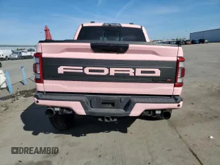 2023 Ford F-150 Raptor with VIN 1FTFW1RJ7PFA73609, listed as a Copart auction lot 45202695 with 22,974 mi miles and Salvage Title. Bid and sale history available at DreamBid. Image 6.
