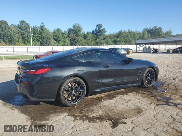 2019 BMW 8 Series M850i xDrive with VIN WBABC4C50KBJ35899, listed as a Copart auction lot 74049574 with 60,220 mi miles and Salvage Title. Bid and sale history available at carsss.com. Image 3.