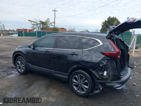 2020 Honda CR-V EX with VIN 5J6RW2H5XLA021643, listed as a IAAI auction lot 41479380 with 50,281 mi miles. Bid and sale history available at carsss.com. Image 3.