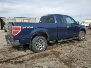 2009 Ford F-150 XL with VIN 1FTPX14V69FB25939, listed as a Copart auction lot 50436685 with 256,699 mi miles and Clean Title. Bid and sale history available at carsss.com. Image 3.