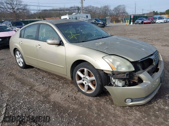 2004 Nissan Maxima SL with VIN 1N4BA41E64C837076, listed as a IAAI auction lot 42003843 with Not Provided miles and . Bid and sale history available at DreamBid. Image 1.