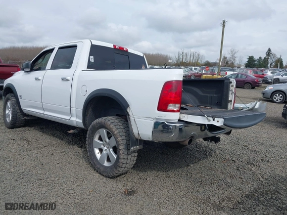 2010 Dodge Ram 1500 SLT with VIN 1D7RV1CT1AS261363, listed as a IAAI auction lot 41763978 with 125,678 mi miles. Bid and sale history available at carsss.com. Image 3.