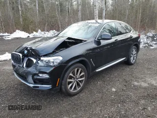 2019 BMW X4 xDrive30i with VIN 5UXUJ3C59KLG53033, listed as a Copart auction lot 40958884 with 64,310 mi miles. Bid and sale history available at carsss.com. Image 1.