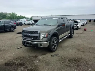 2009 Ford F-150 XL z VIN 1FTPW14V09FA39822, wystawiony jako Copart lot #57272905 z przebiegiem 197 699 mil mil oraz Szkoda całkowita • Salvage title. Historia ofert i sprzedaży dostępna na DreamBid. Obrazek 13.