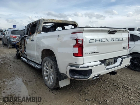 2019 Chevrolet Silverado 1500 High Country with VIN 3GCUYHEL6KG127717, listed as a Copart auction lot 48813995 with 0 mi miles and Salvage Title. Bid and sale history available at carsss.com. Image 2.