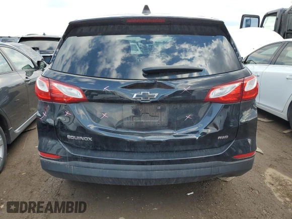 2019 Chevrolet Equinox LS with VIN 3GNAXSEVXKL253145, listed as a Copart auction lot 50736655 with 46,456 mi miles and Salvage Title. Bid and sale history available at DreamBid. Image 6.