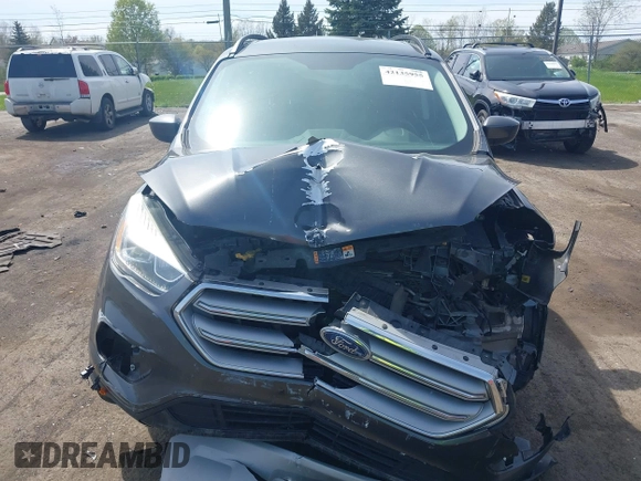 2017 Ford Escape SE z VIN 1FMCU0GD0HUE06774, wystawiony jako IAAI lot #42135955 z przebiegiem 141 807 mil mil oraz . Historia ofert i sprzedaży dostępna na DreamBid. Obrazek 13.