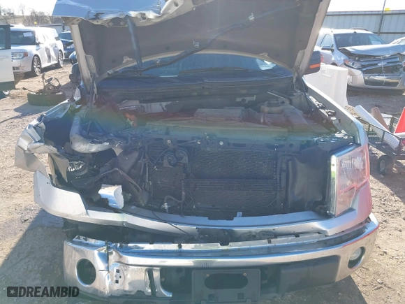 2013 Ford F-150 XL with VIN 1FTEW1CM4DFA94606, listed as a IAAI auction lot 41694243 with 250,025 mi miles. Bid and sale history available at carsss.com. Image 10.