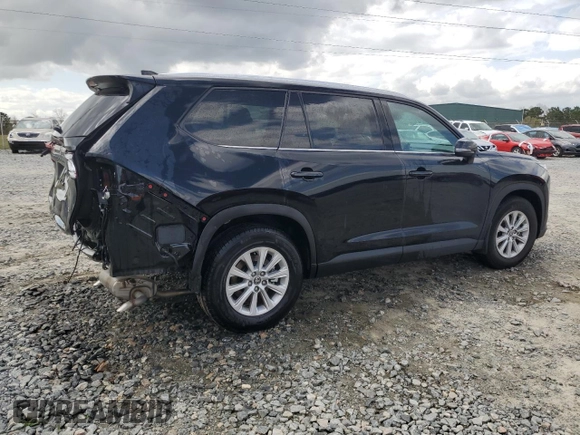 2024 Toyota Grand Highlander XLE with VIN 5TDAAAA57RS016059, listed as a Copart auction lot 47611935 with 19,444 mi miles and Salvage Title. Bid and sale history available at carsss.com. Image 3.