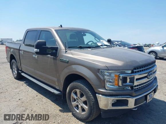 2019 Ford F-150 XL with VIN 1FTEW1E4XKKF30179, listed as a IAAI auction lot 42171587 with Not provided miles and . Bid and sale history available at DreamBid. Image 1.