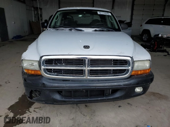2004 Dodge Dakota Sport with VIN 1D7HL38K34S616566, listed as a Copart auction lot 42174225 with 144,456 mi miles and Salvage Title. Bid and sale history available at carsss.com. Image 5.