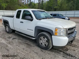 2010 Chevrolet Silverado 1500 LT with VIN 1GCSKSE30AZ127202, listed as a Copart auction lot 53134025 with 113,867 mi miles and Clean Title. Bid and sale history available at carsss.com. Image 4.