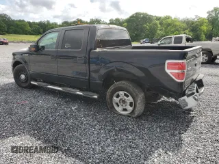 2010 Ford F-150 XL with VIN 1FTEW1C81AFA97042, listed as a Copart auction lot 56386715 with 403,734 mi miles and Salvage title. Bid and sale history available at DreamBid. Image 2.