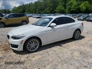 2016 BMW 2 Series 228i with VIN WBA1F9C50GV544748, listed as a Copart auction lot 59741665 with 220,484 mi miles and Clean title. Bid and sale history available at DreamBid. Image 1.