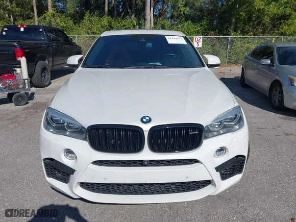2019 BMW X6 M with VIN 5YMKW8C50K0Y75148, listed as a IAAI auction lot 41244301 with NaN miles. Bid and sale history available at carsss.com. Image 12.