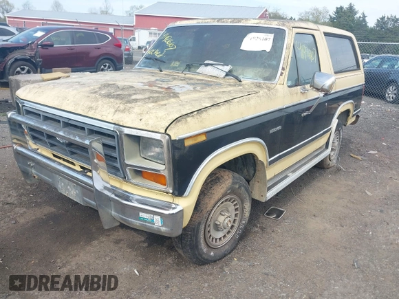 1984 Ford Bronco with VIN 1FMEU15FXELA50791, listed as a IAAI auction lot 41926107 with 12,469 mi miles and . Bid and sale history available at DreamBid. Image 2.