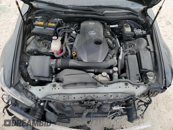 2019 Lexus IS with VIN JTHBA1D23K5092328, listed as a Copart auction lot 53528815 with 34,245 mi miles and Salvage Title. Bid and sale history available at carsss.com. Image 11.