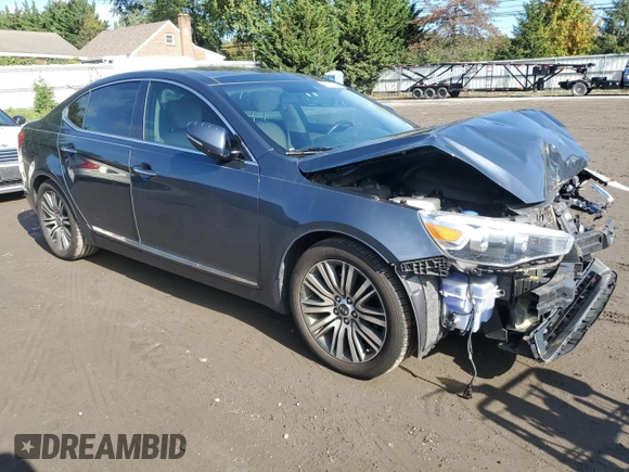 2014 Kia Cadenza Premium with VIN KNALN4D71E5153863, listed as a Copart auction lot 73567824 with 116,308 mi miles and Salvage Title. Bid and sale history available at carsss.com. Image 4.