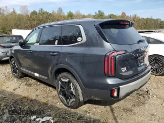 2024 Kia Telluride EX with VIN 5XYP34GC2RG425904, listed as a Copart auction lot 78142484 with 9,696 mi miles and Salvage Title. Bid and sale history available at DreamBid. Image 2.