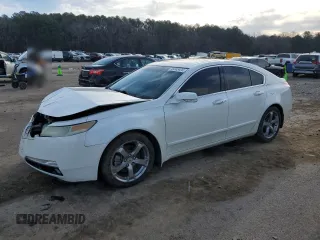 2010 Acura TL Tech with VIN 19UUA8F50AA011092, listed as a Copart auction lot 45583425 with 125,041 mi miles and Salvage Title. Bid and sale history available at carsss.com. Image 1.