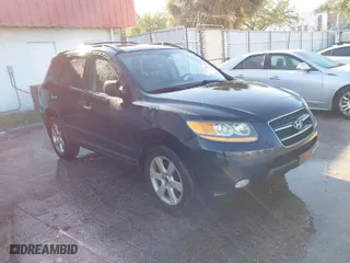 2009 Hyundai Santa Fe SE with VIN 5NMSH13E69H234946, listed as a IAAI auction lot 41876967 with 182,437 mi miles. Bid and sale history available at carsss.com. Image 1.