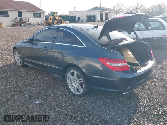 2010 Mercedes-Benz E 550 with VIN WDDKJ7CB9AF032400, listed as a IAAI auction lot 42121696 with Not provided miles and . Bid and sale history available at DreamBid. Image 3.