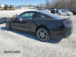 2013 Ford Mustang GT with VIN 1ZVBP8CF6D5248746, listed as a Copart auction lot 49592435 with Not Provided miles and Salvage Title. Bid and sale history available at carsss.com. Image 2.