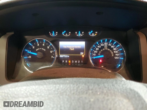 2013 Ford F-150 XL with VIN 1FTFW1EF1DFD11886, listed as a Copart auction lot 53393255 with 294,772 mi miles and Salvage Title. Bid and sale history available at carsss.com. Image 9.