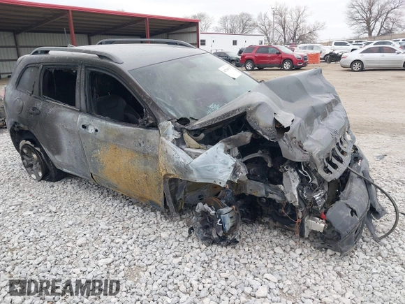 2019 Jeep Cherokee Trailhawk Elite with VIN 1C4PJMBX9KD329661, listed as a IAAI auction lot 41704933 with 1 mi miles. Bid and sale history available at carsss.com. Image 1.