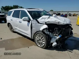 2020 Hyundai Palisade Limited with VIN KM8R5DHE9LU102289, listed as a Copart auction lot 54194415 with 98,282 mi miles and Salvage title. Bid and sale history available at DreamBid. Image 15.