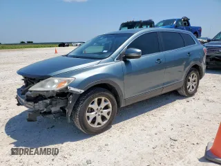 2011 Mazda CX-9 Touring z VIN JM3TB2CA7B0316612, wystawiony jako Copart lot #58545205 z przebiegiem 128 190 mil mil oraz Szkoda całkowita • Salvage title. Historia ofert i sprzedaży dostępna na DreamBid. Obrazek 1.