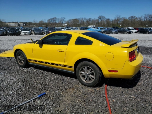 2005 Ford Mustang Deluxe with VIN 1ZVFT80N055243648, listed as a Copart auction lot 50080295 with 122,686 mi miles and Salvage Title. Bid and sale history available at carsss.com. Image 2.