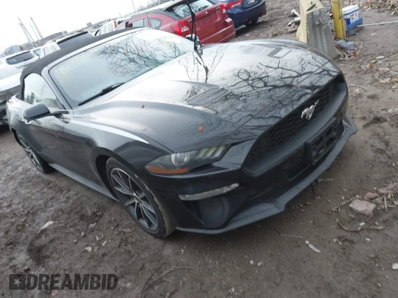 2019 Ford Mustang EcoBoost with VIN 1FATP8UH2K5159850, listed as a IAAI auction lot 41056057 with 44,133 mi miles and . Bid and sale history available at DreamBid. Image 1.