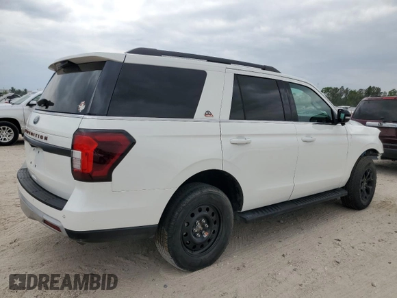 2022 Ford Expedition Timberline with VIN 1FMJU1RT0NEA35624, listed as a Copart auction lot 53446605 with 31,530 mi miles and Salvage Title. Bid and sale history available at carsss.com. Image 3.