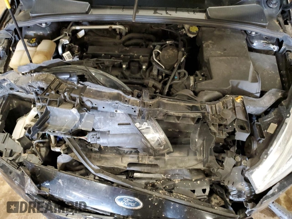 2015 Ford Focus SE with VIN 1FADP3F21FL336812, listed as a Copart auction lot 49853655 with 0 mi miles and Clean Title. Bid and sale history available at carsss.com. Image 12.