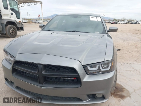 2012 Dodge Charger SXT with VIN 2C3CDXHG8CH244592, listed as a IAAI auction lot 41548991 with 116,855 mi miles. Bid and sale history available at carsss.com. Image 12.