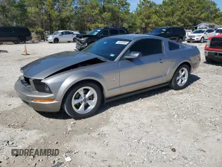 2009 Ford Mustang with VIN 1ZVHT80N095123475, listed as a Copart auction lot 46645905 with 126,418 mi miles and Clean Title. Bid and sale history available at carsss.com. Image 1.