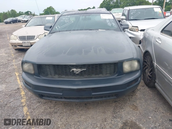 2007 Ford Mustang GT Deluxe with VIN 1ZVHT82H775355835, listed as a IAAI auction lot 42157832 with Not provided miles and . Bid and sale history available at DreamBid. Image 12.