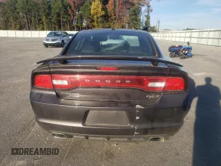 2014 Dodge Charger RT with VIN 2C3CDXDTXEH260976, listed as a Copart auction lot 79061254 with 109,028 mi miles and Salvage Title. Bid and sale history available at carsss.com. Image 6.