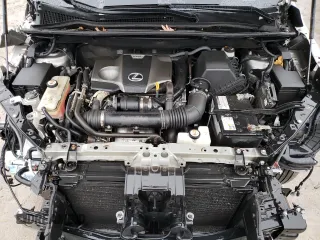2020 Lexus NX 300 F Sport with VIN JTJSARDZ2L2222242, listed as a Copart auction lot 59493045 with 134,746 mi miles and Non repairable. Bid and sale history available at DreamBid. Image 11.