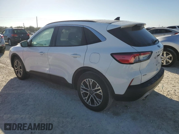 2020 Ford Escape SEL with VIN 1FMCU0H66LUA35564, listed as a Copart auction lot 43347825 with Not Provided miles and Non Repairable. Bid and sale history available at carsss.com. Image 2.