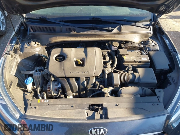 2020 Kia Forte LXS with VIN 3KPF24AD5LE144572, listed as a IAAI auction lot 41769528 with 60,516 mi miles. Bid and sale history available at carsss.com. Image 10.