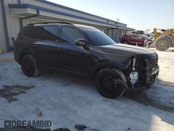 2024 Kia Telluride SX X-Line with VIN 5XYP5DGCXRG502514, listed as a Copart auction lot 48963985 with 20,560 mi miles and Salvage Title. Bid and sale history available at carsss.com. Image 4.
