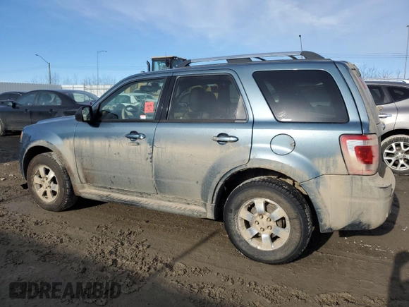2010 Ford Escape Limited with VIN 1FMCU9E77AKD23121, listed as a Copart auction lot 50243295 with Not provided miles and Salvage title. Bid and sale history available at DreamBid. Image 2.