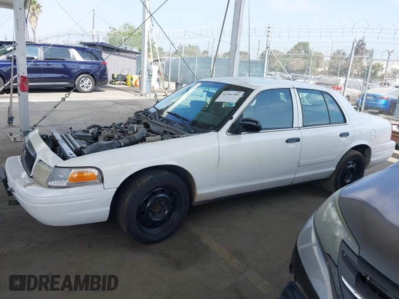 2009 Ford Police Interceptor with VIN 2FAHP71V29X129265, listed as a IAAI auction lot 42381382 with Not provided miles and . Bid and sale history available at DreamBid. Image 14.